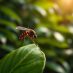 Malaria: Co musisz wiedzieć o chorobie tropikalnej?