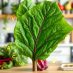 Botwina – superfood pełen witamin. Właściwości i przeciwwskazania