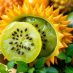Melon rogaty: zdrowotne właściwości i zastosowanie w diecie