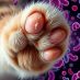 Bartoneloza – objawy, diagnostyka i metody leczenia tej choroby