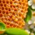 Propolis na trądzik – właściwości, zastosowanie i skuteczność